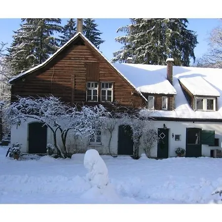 Forest View In The Old Forest Office Appartement Altenbeken